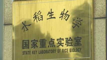 全球首次!浙江省水稻专家利用基因编辑成功克隆杂交稻种