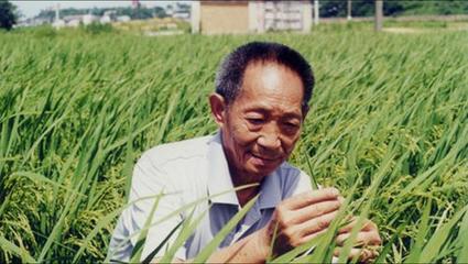 "杂交水稻之父"袁隆平的贡献,究竟有多大?